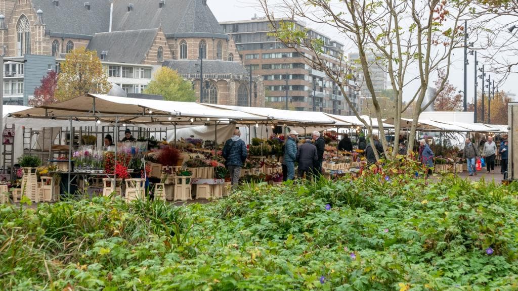 Houden Melodramatisch Vader Markten | Rotterdam.nl