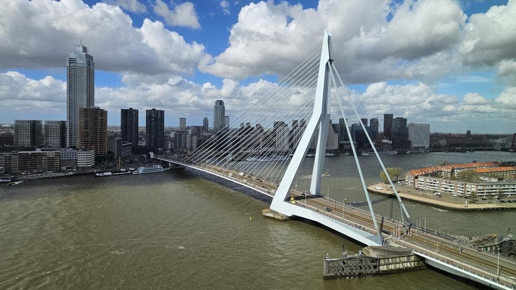De Erasmusbrug in beeld, vanaf de Wilhelminakade. Foto: gemeente Rotterdam