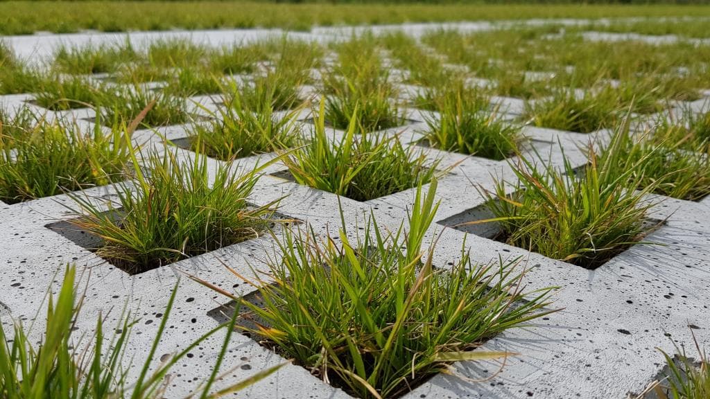 Tegel met openingen waar gras kan groeien. Foto: gemeente Rotterdam